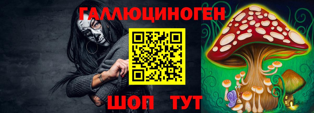 Псилоцибиновые грибы Cubensis  Галлюциногенные грибы мицелий  Белореченск  Вход с VPN 